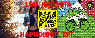 спайс Шахты