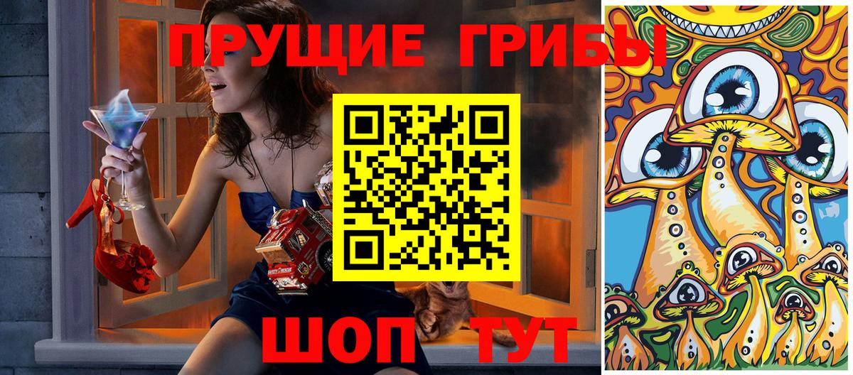 закладки  Вход с VPN  Псилоцибиновые грибы Cubensis  Рубцовск  Псилоцибиновые грибы Cubensis 